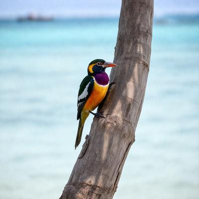 The primary subject of the image is a colorful bird perched on a tree branch. The bird is positioned in the center of the scene, with its vibrant colors standing out against the natural backdrop of the tree and the surrounding environment. The visual style of the image is a photo, capturing the bird in its natural habitat. The colors and mood of the image are lively and cheerful, with the bird's vibrant colors adding a sense of liveliness to the scene.